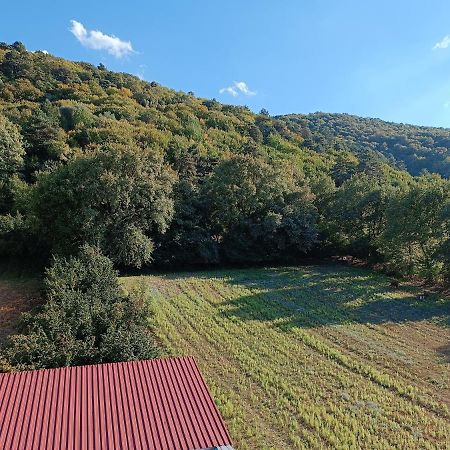 Mekan Ilica Apart Otel Karacasu  Esterno foto